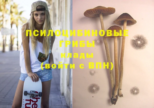 герыч Алзамай